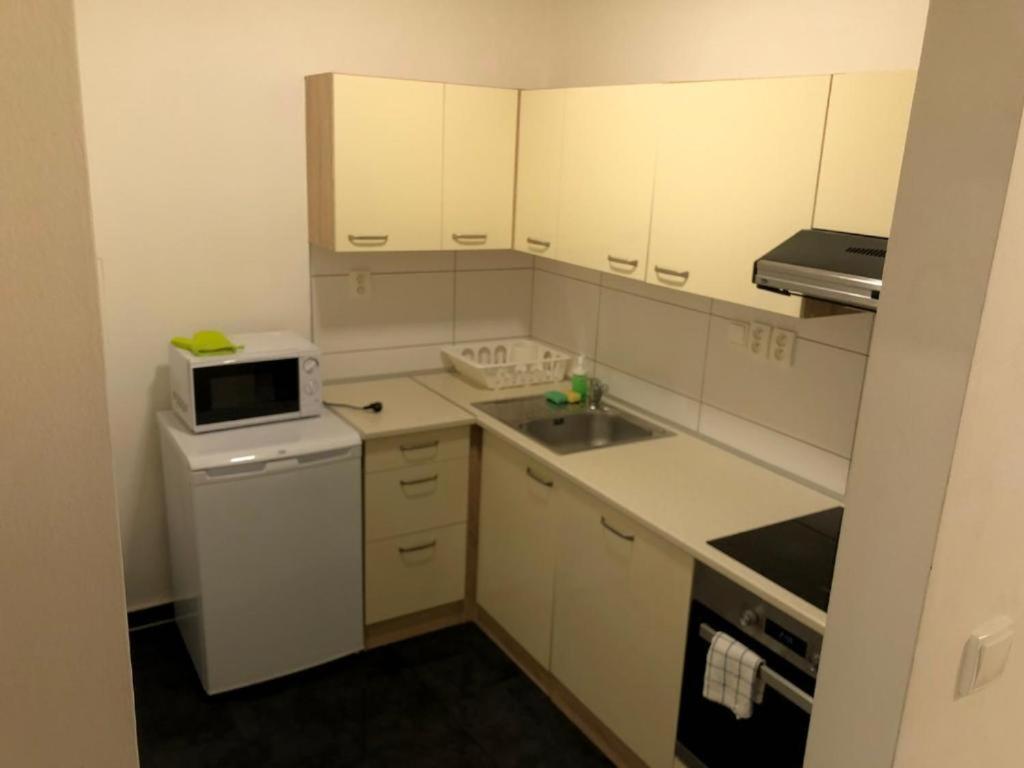 布尔诺Apartmans In The Center With Privat Parking公寓 外观 照片