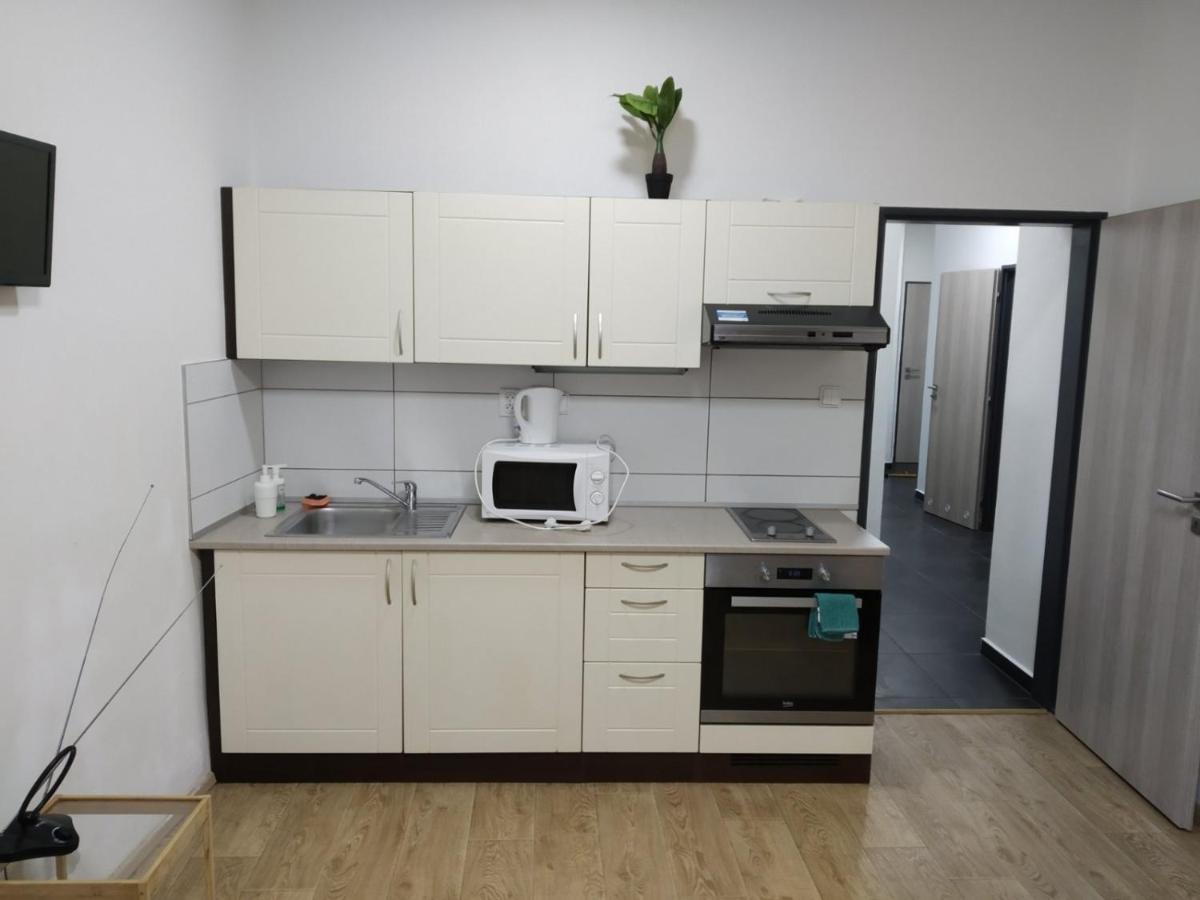 布尔诺Apartmans In The Center With Privat Parking公寓 外观 照片