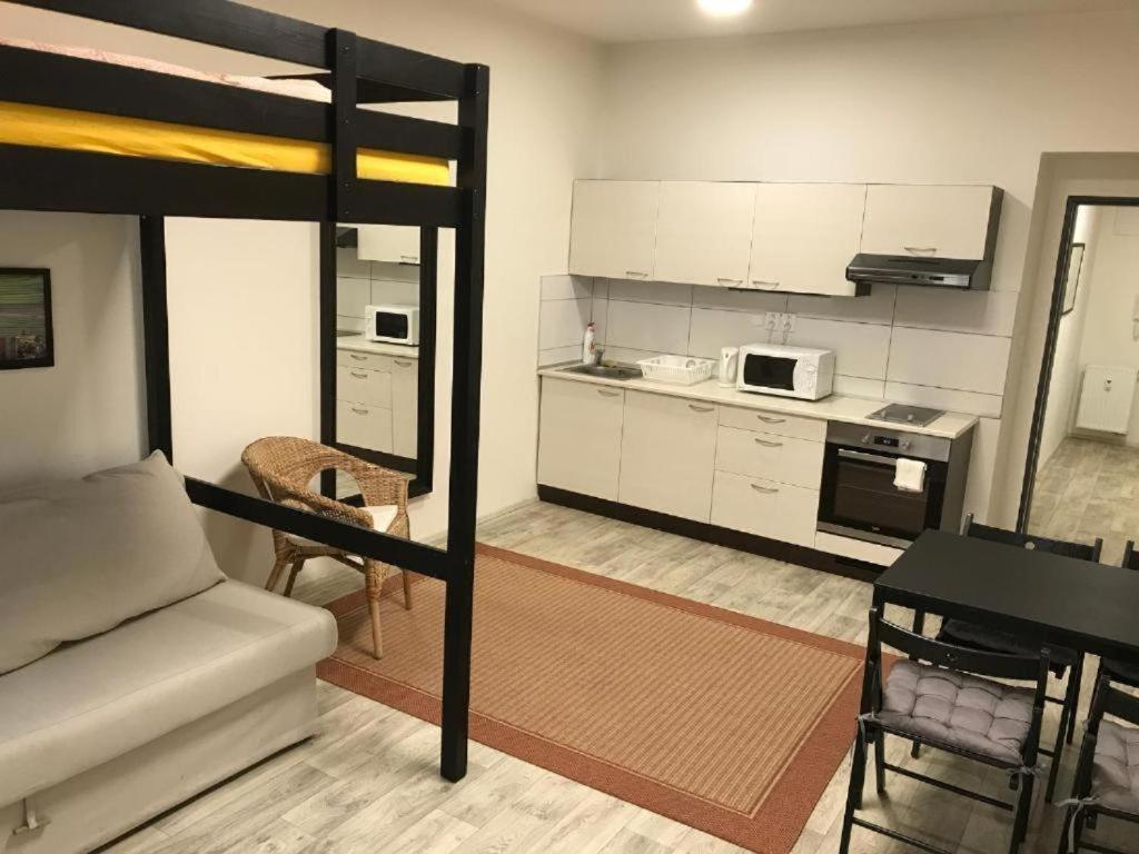布尔诺Apartmans In The Center With Privat Parking公寓 外观 照片