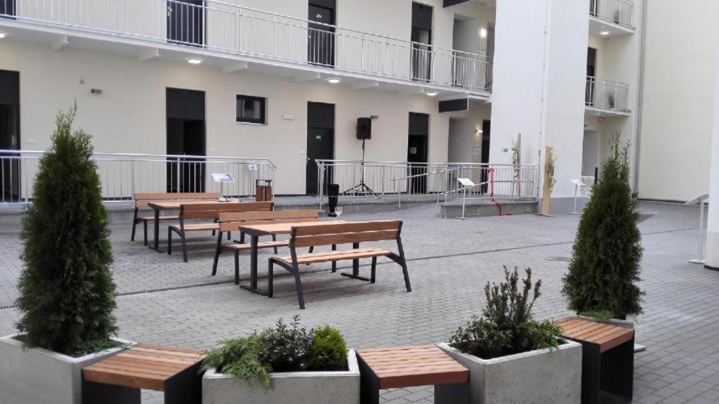布尔诺Apartmans In The Center With Privat Parking公寓 外观 照片