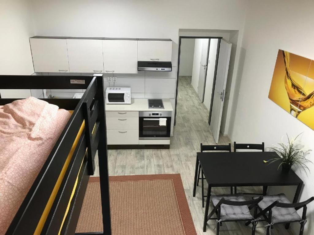 布尔诺Apartmans In The Center With Privat Parking公寓 外观 照片