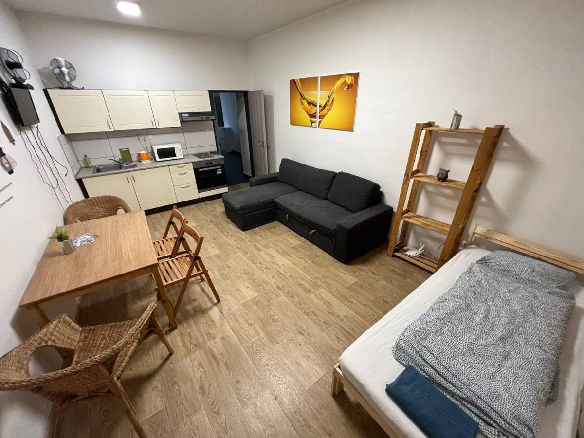 布尔诺Apartmans In The Center With Privat Parking公寓 外观 照片